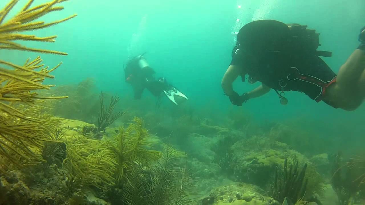 Diving in Miami Beach Reef Scuba Diving (Full Video) HD