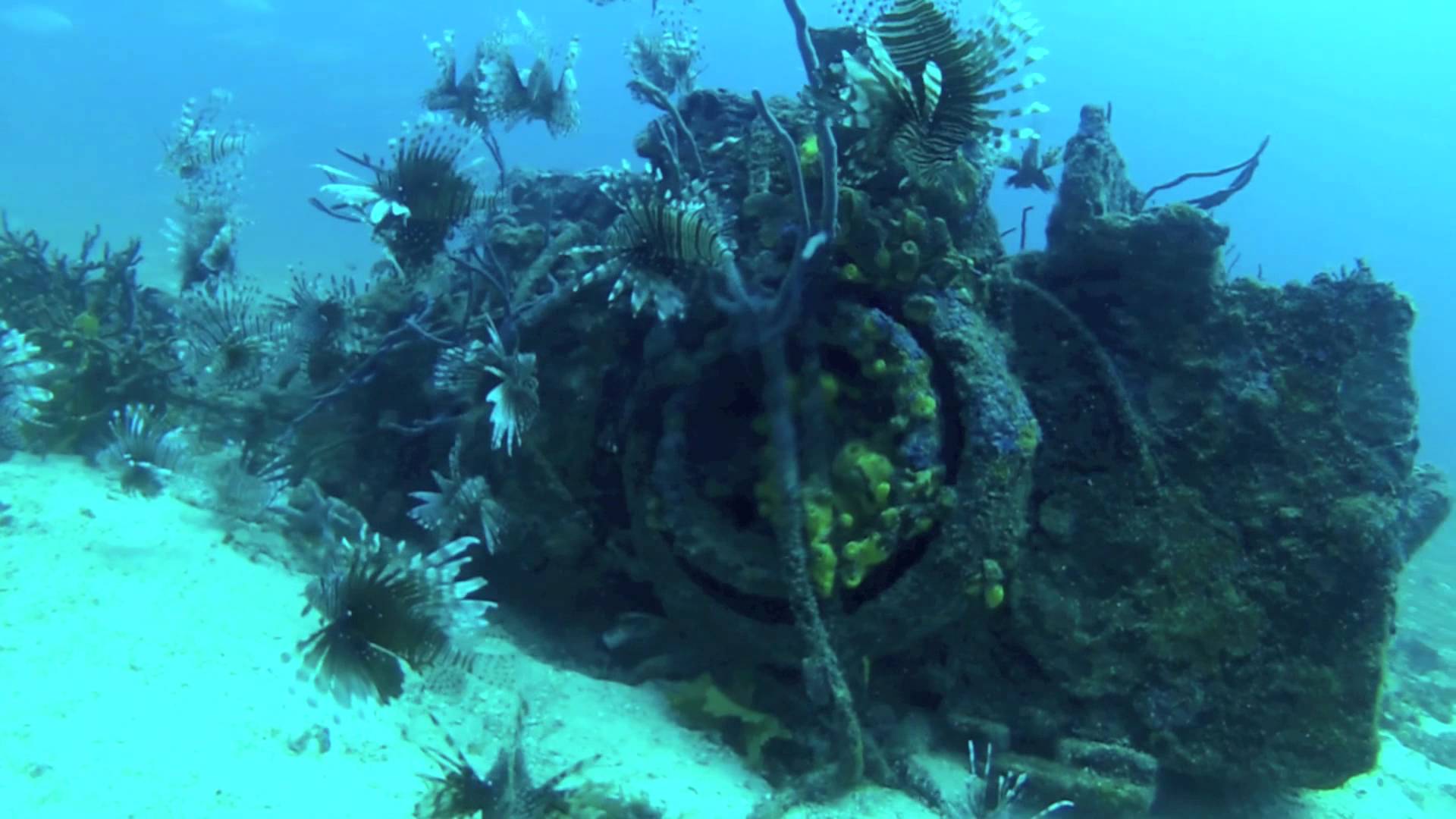 The Tulum Ship Wreck diving, Puerto Morelos Tulum