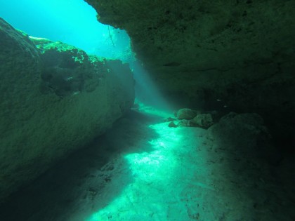 Beneath the Mangrove Diving Photos 1 Tulum Mexico 10