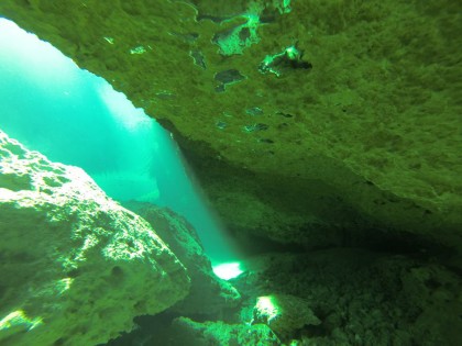 Beneath the Mangrove Diving Photos 1 Tulum Mexico 5