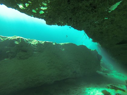 Beneath the Mangrove Diving Photos 1 Tulum Mexico 6