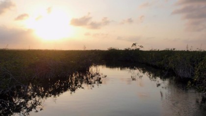 amazing landscape tulum sunset eco tour