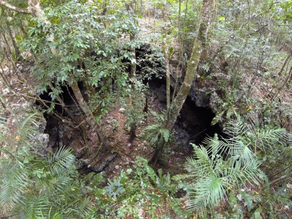 cenote from the top