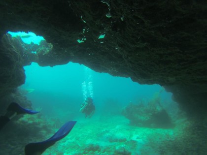 scuba diving in tulum cenotes