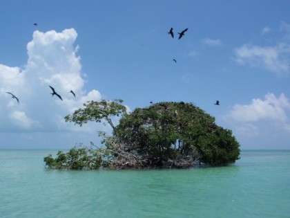 sian kaan eco tour tulum