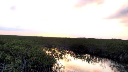 tulum eco tour sian kaan 1 photo