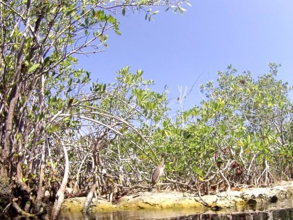 tulum eco tour sian kaan 2 photo