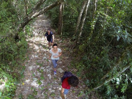 walking in the jungles of tulum