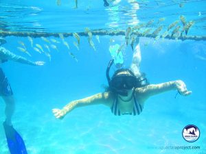 tulum tour snorkeling snorkel