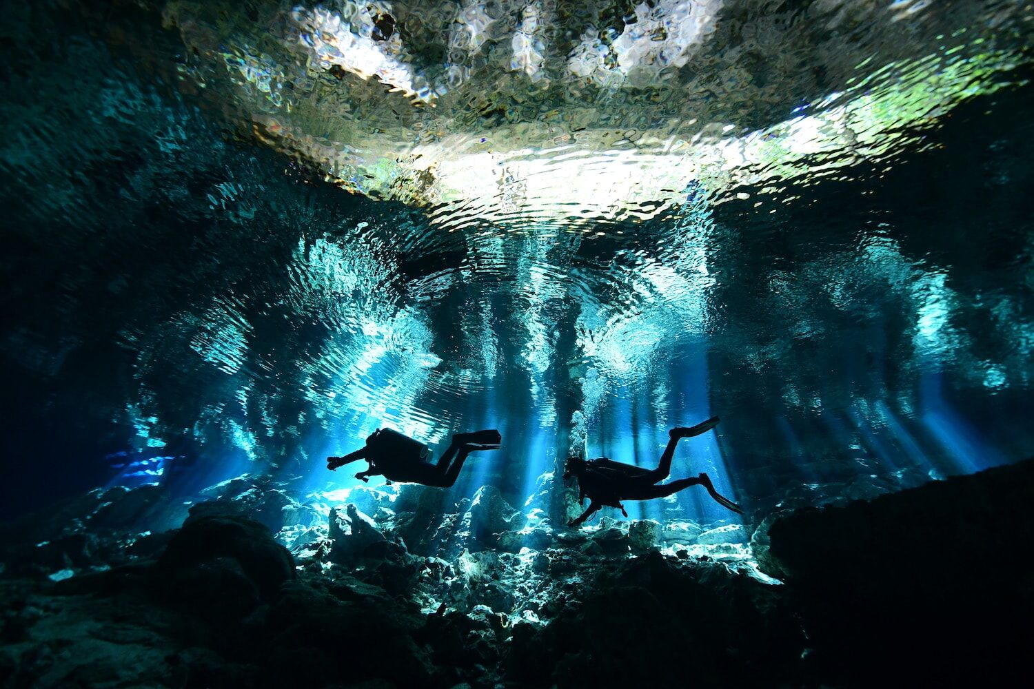 Diving Cenote Dos Ojos