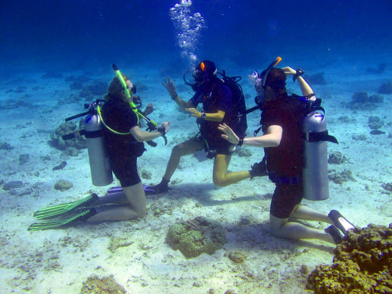 PADI scuba diving courses Tulum