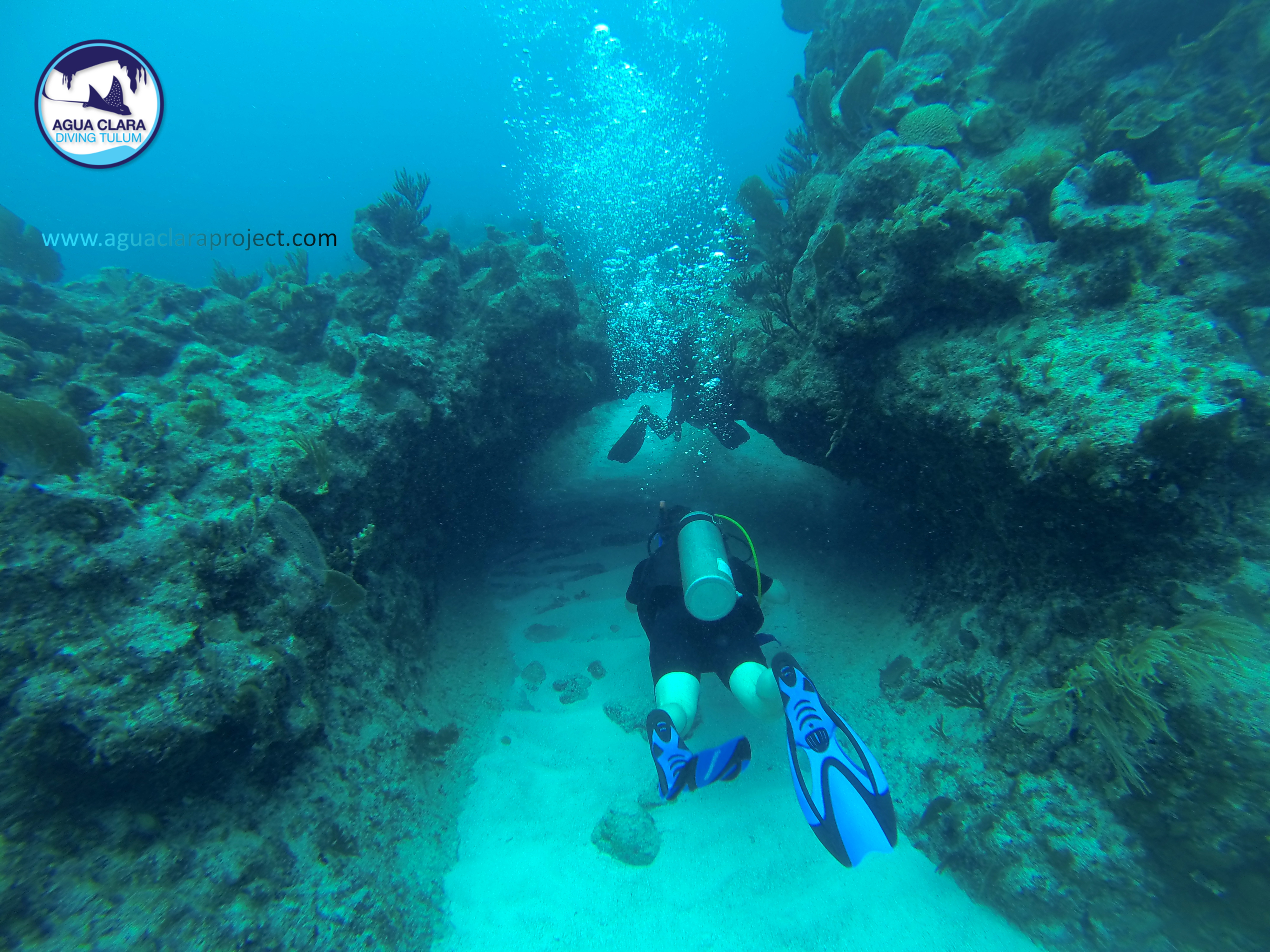 Tulum reef diving