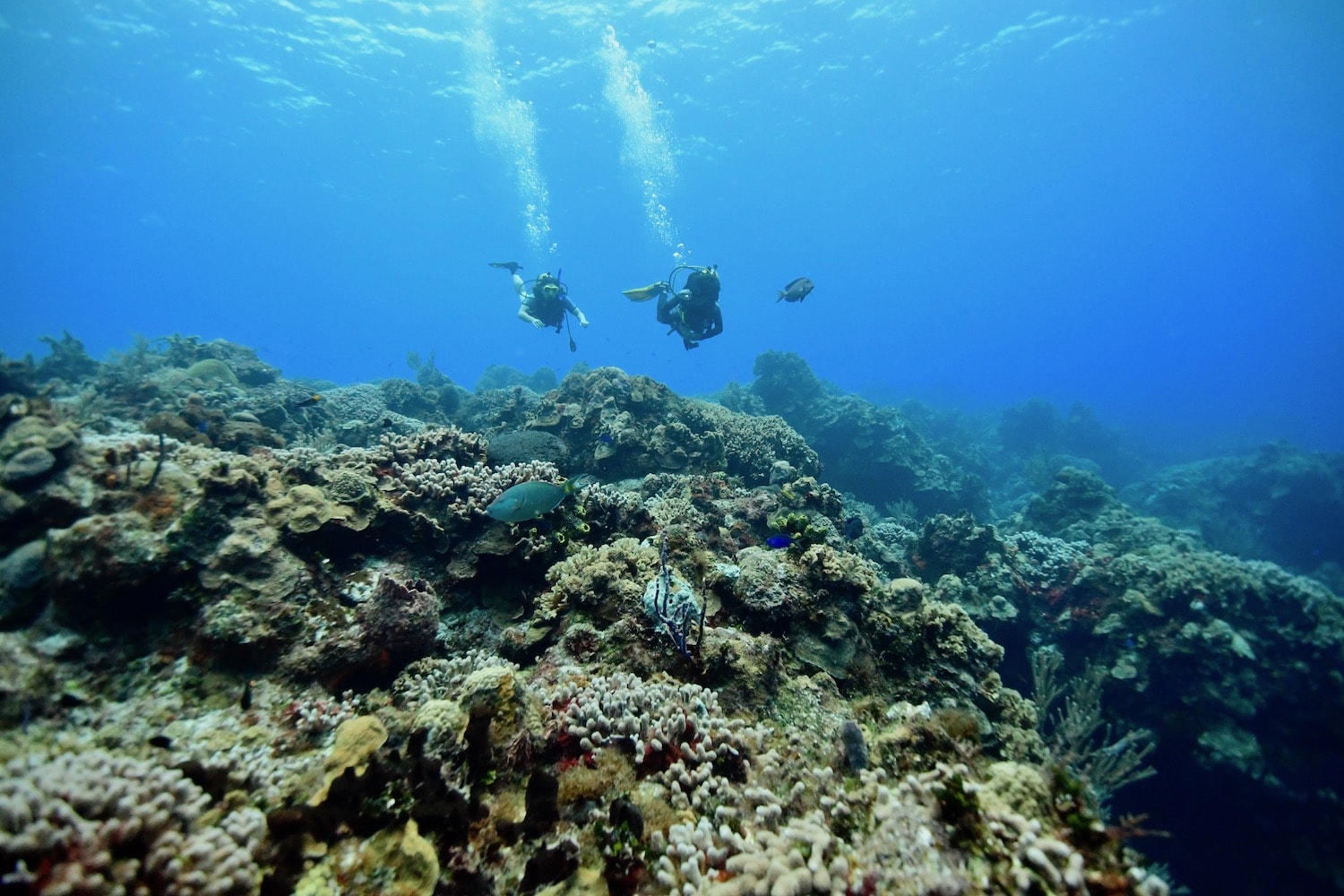 Agua Clara Diving Tulum - scuba dive center