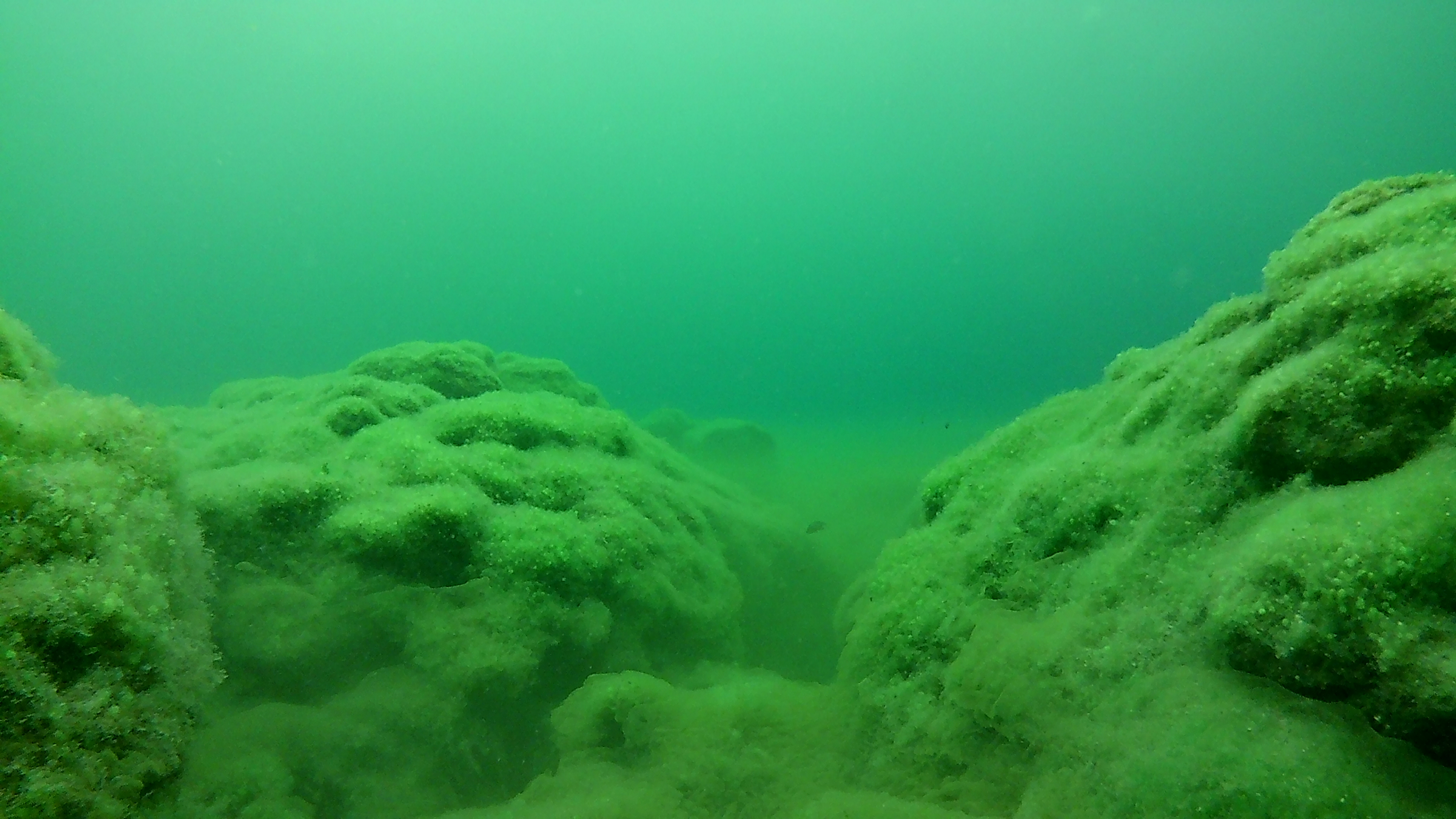 First Underwater Experience In Natural Swimming Pools- Mites & Marie ...