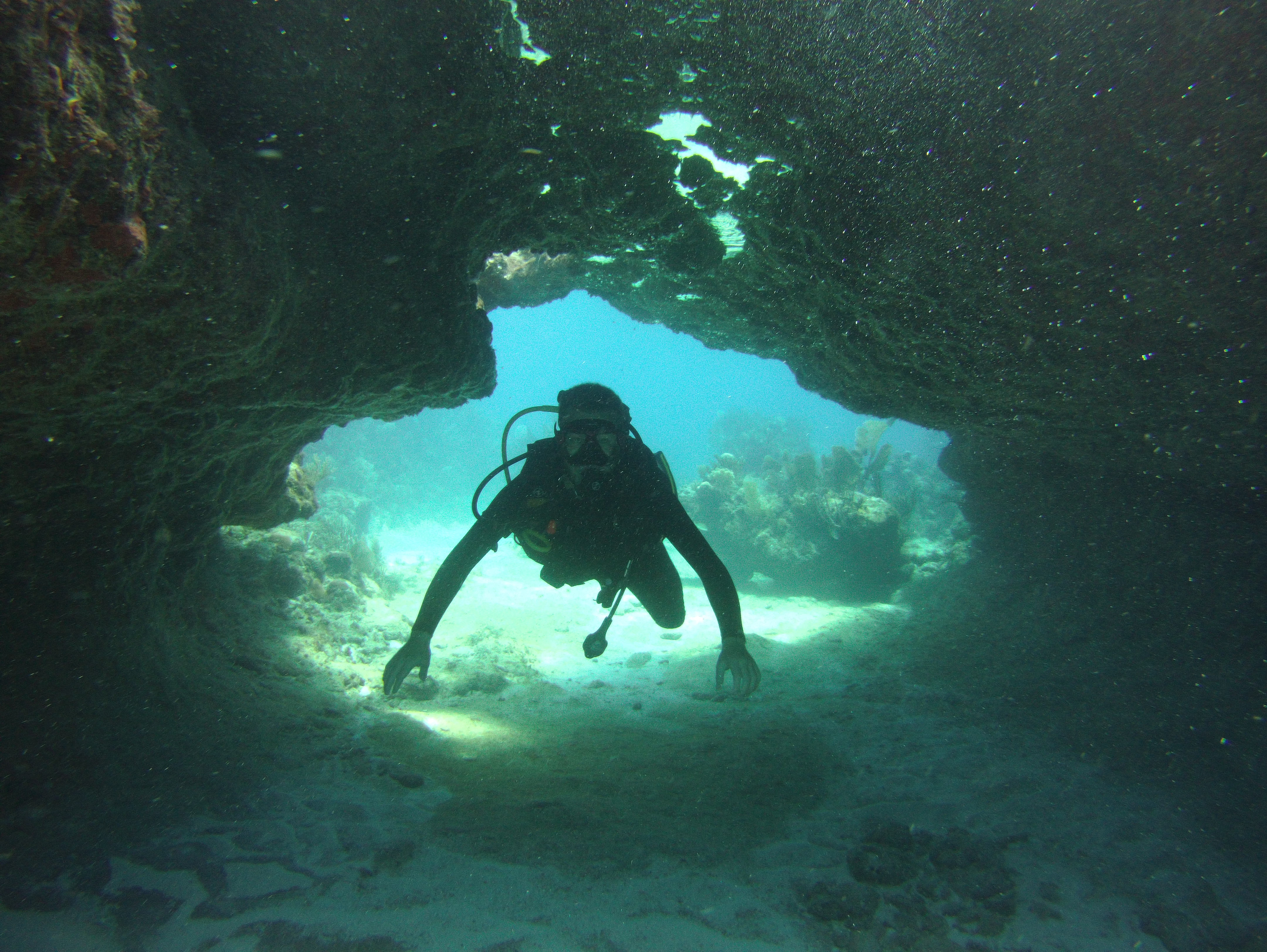 cenote & sea dives in one single tour