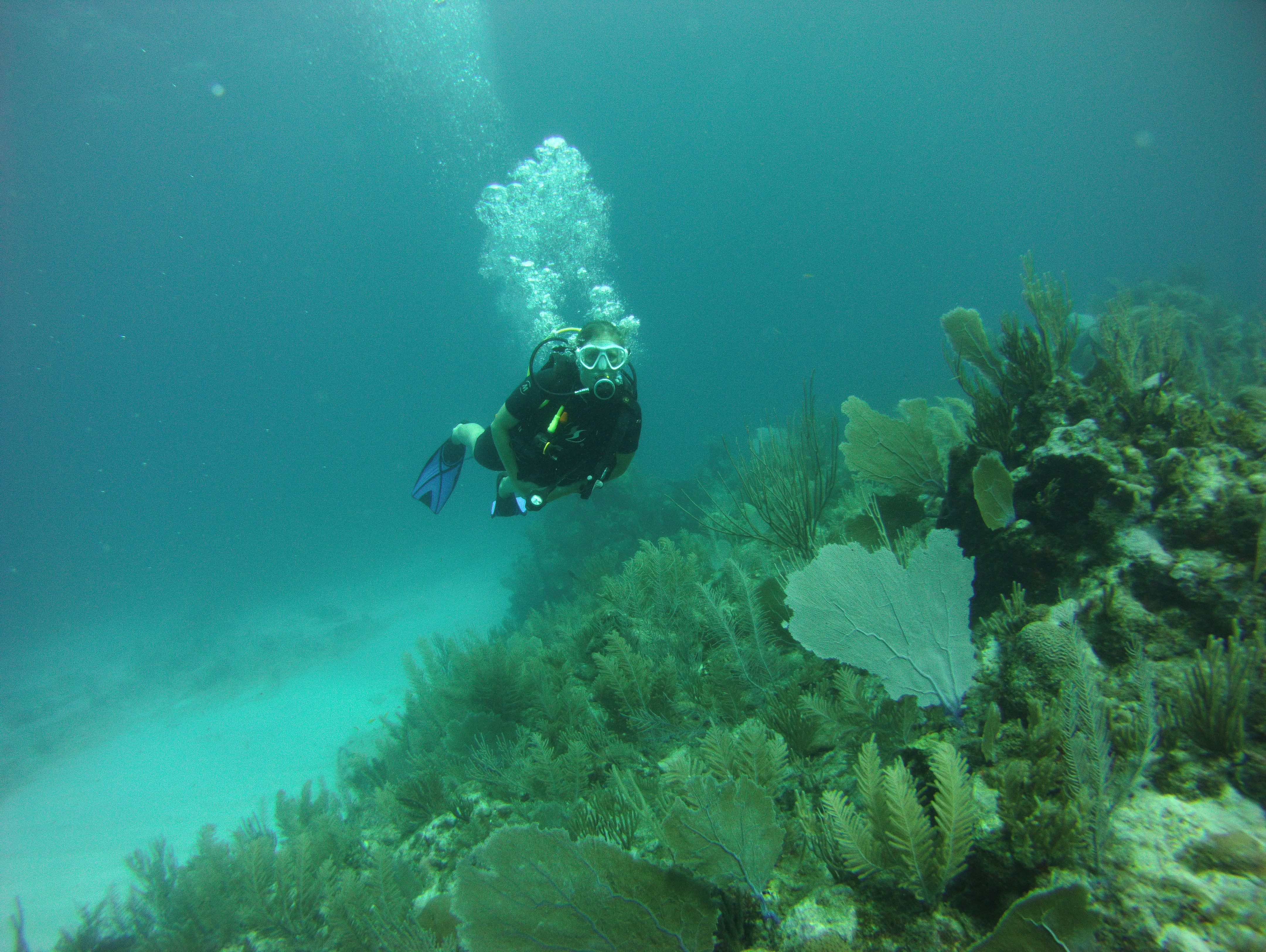 Reef Diving In Magical Tulum - Katie | Agua Clara Diving Tulum