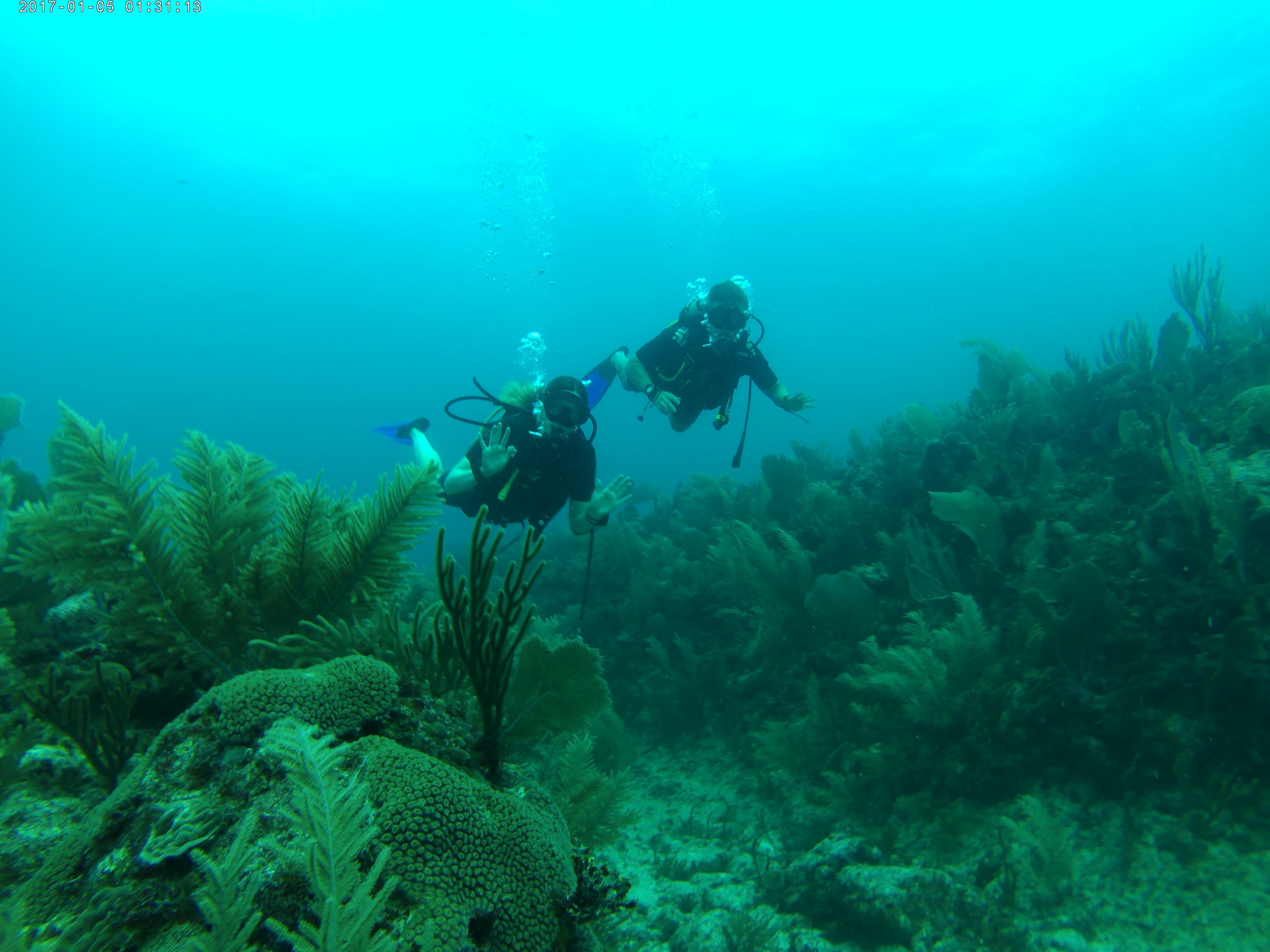 Diving Course In Magical Tulum | Agua Clara Diving Tulum