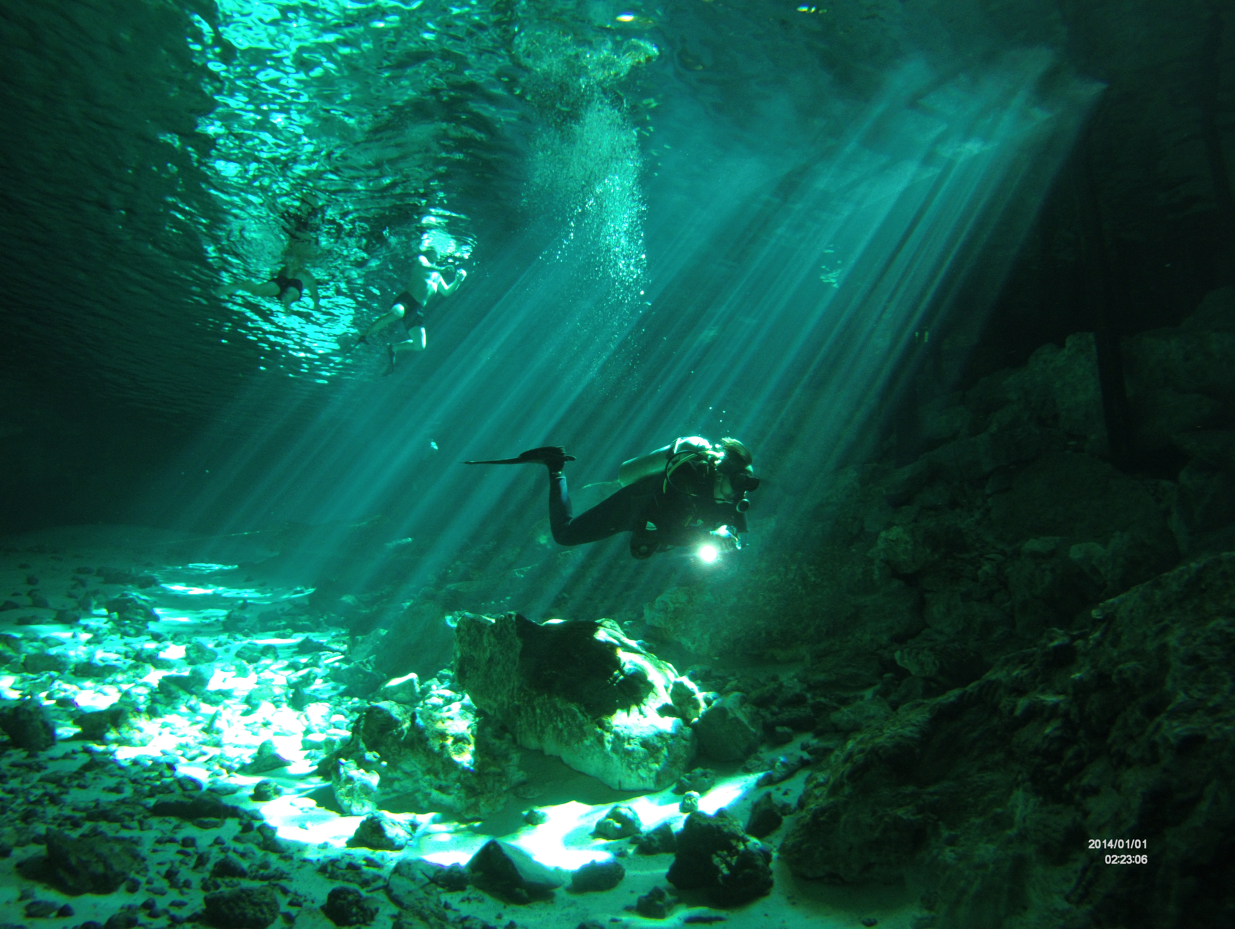PADI dive master Course in tulum