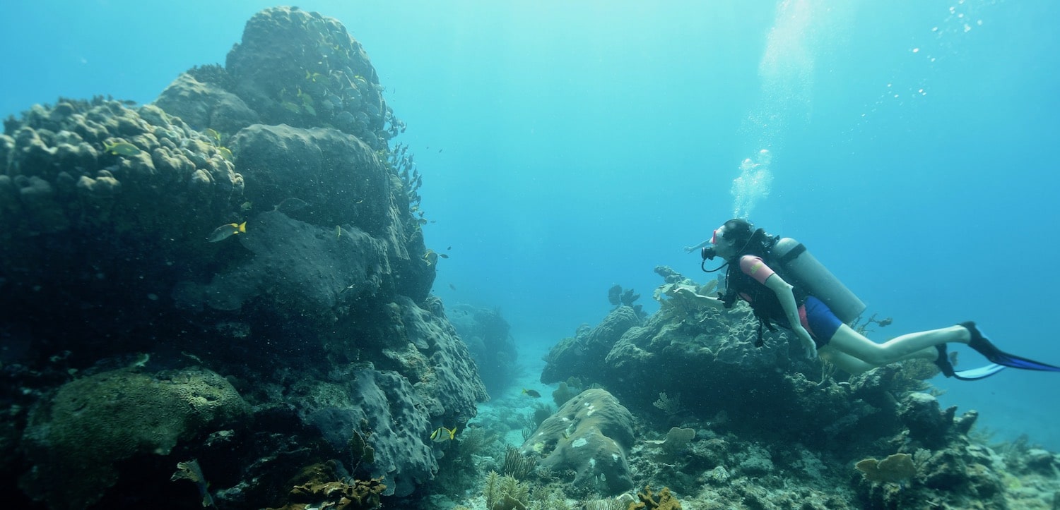 Tulum reef full of fish