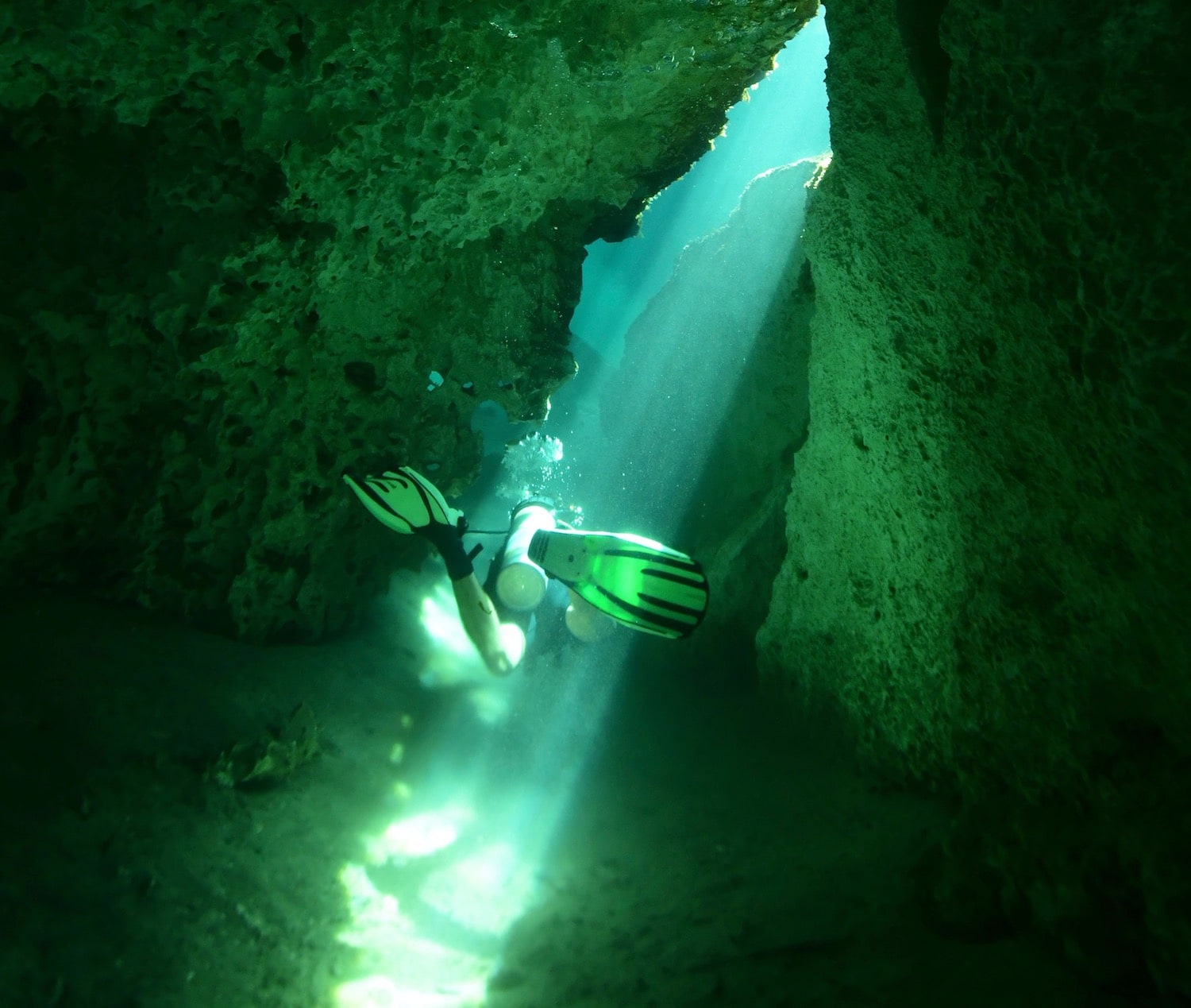 First time dive in an Open cenote in Tulum I no certificate needed