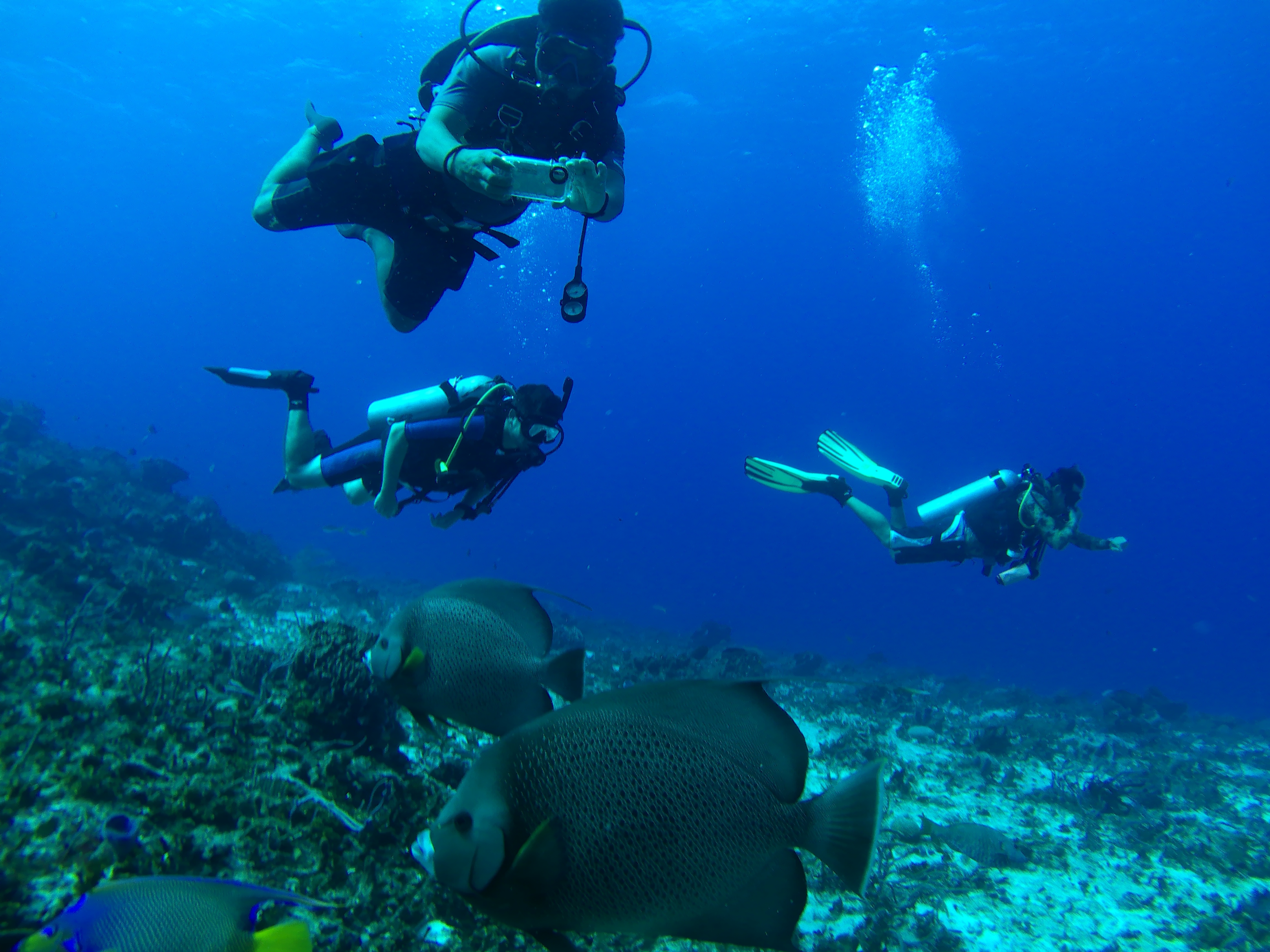advanced course cozumel