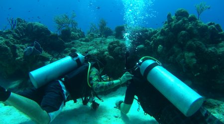 Agua Clara Diving Cozumel - scuba dive center