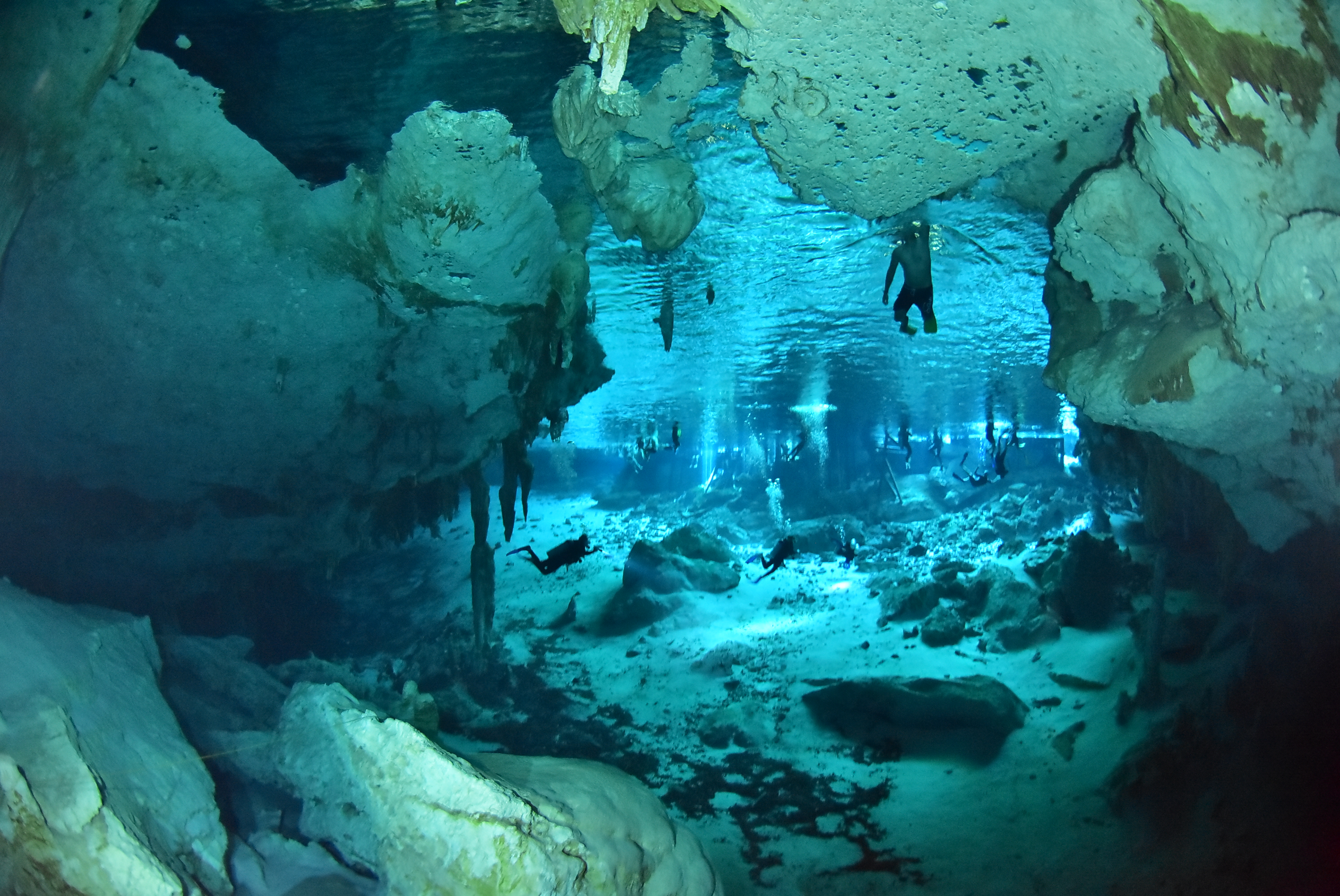 Diving cenotes of Tulum departing from Cozumel just a short trip distance