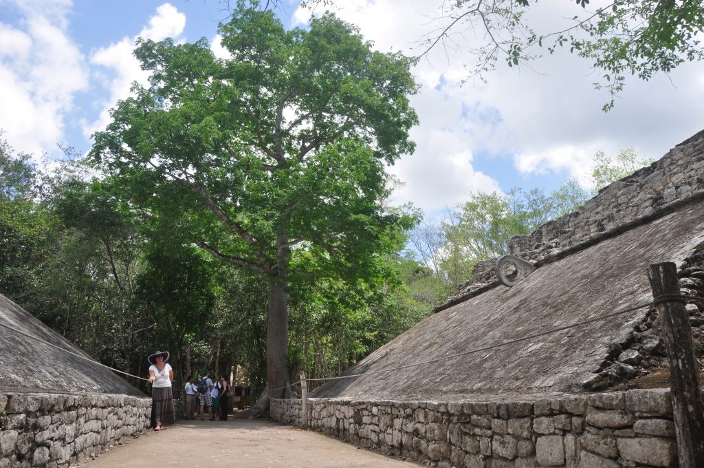 pixam maya pixam maya